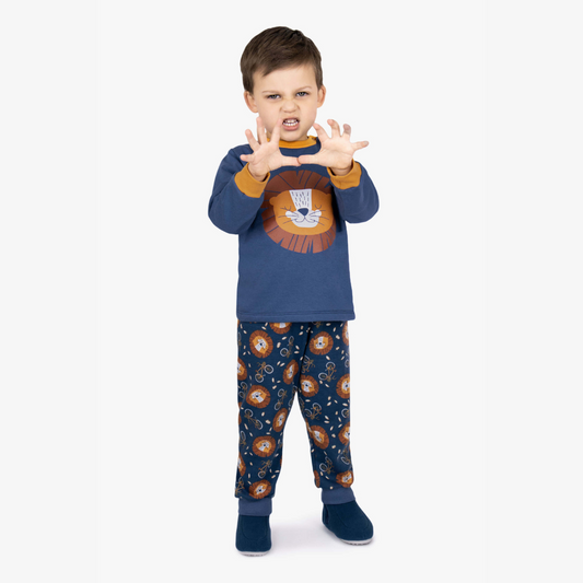 PIJAMA MOLETINHO LEAO (1 AO 3)